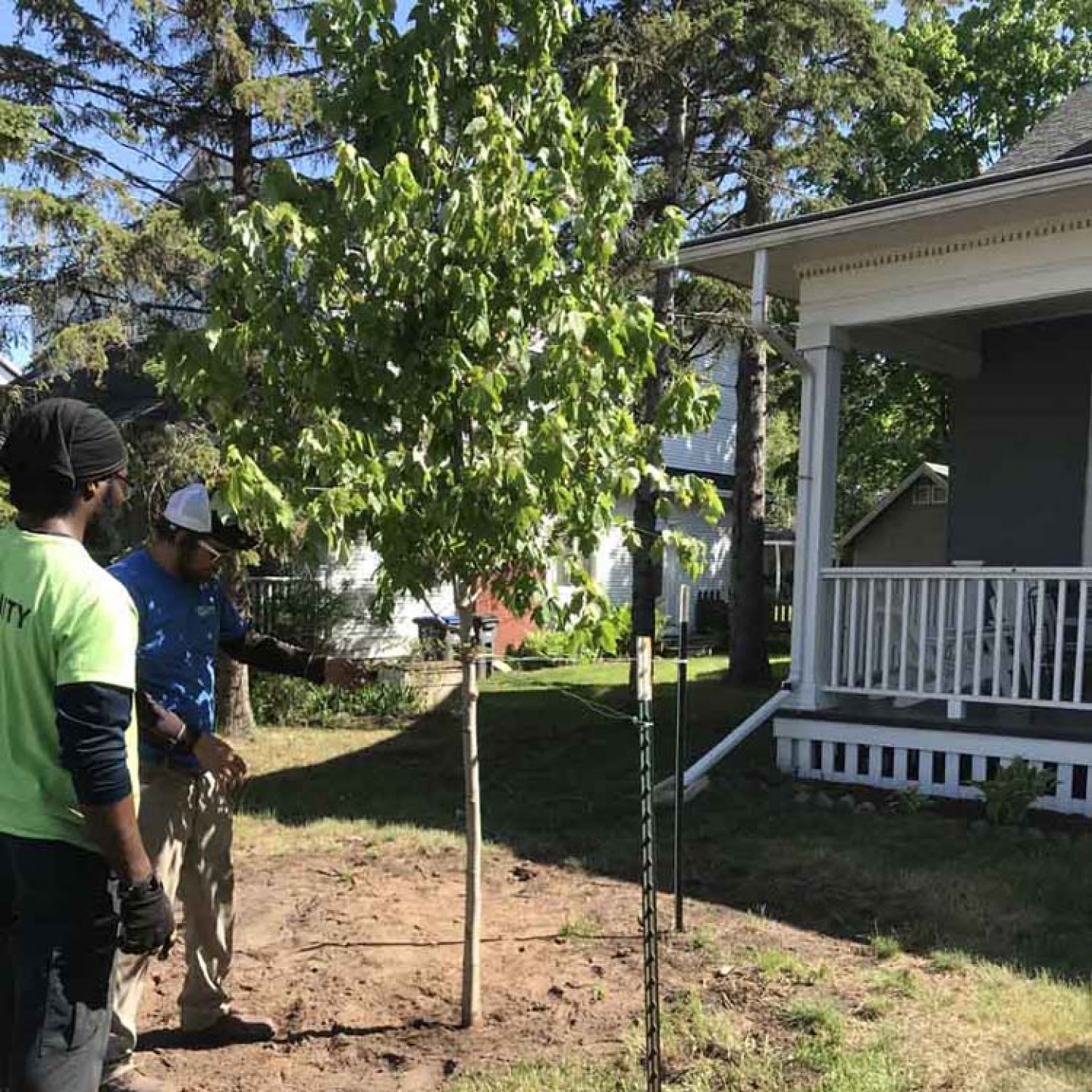 Tree Planting Services Duluth & Hermantown, MN Duluth Dirt